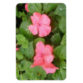 Roze Impatiens Bloemen Premium Magnet Magneet (Verticaal)