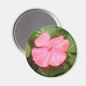 Roze Impatiens Bloemnet Magneet (Voorkant / Achterkant)