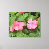 Roze Impatiens Flowers Canvas Afdrukken (Voorkant)