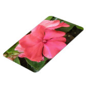 Roze impatiens langzamer Macro Premium Magnet Magneet (Linkerzijde)