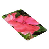 Roze impatiens langzamer Macro Premium Magnet Magneet (Rechterzijde)