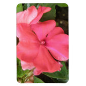 Roze impatiens langzamer Macro Premium Magnet Magneet (Verticaal)
