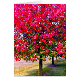 Roze impressionistische herfstbomen