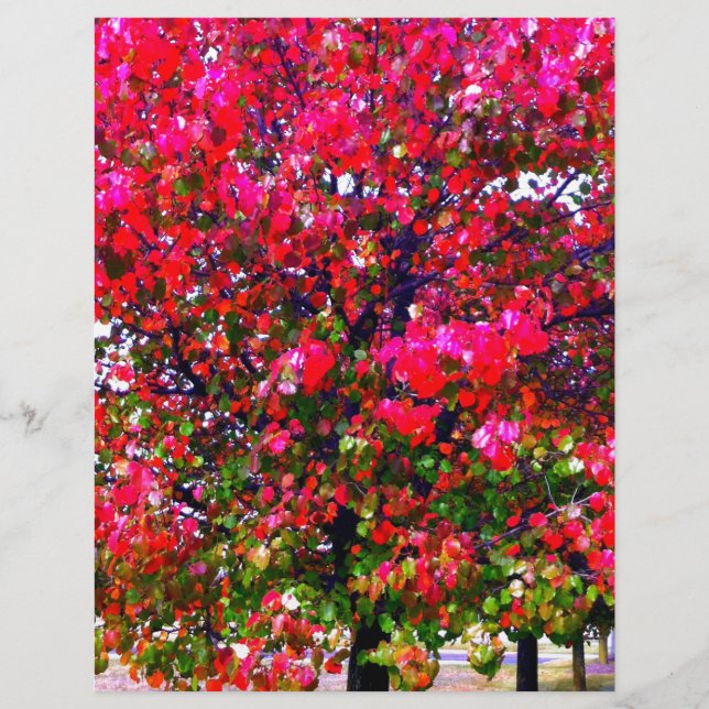 Roze impressionistische herfstbomen (Voorkant)