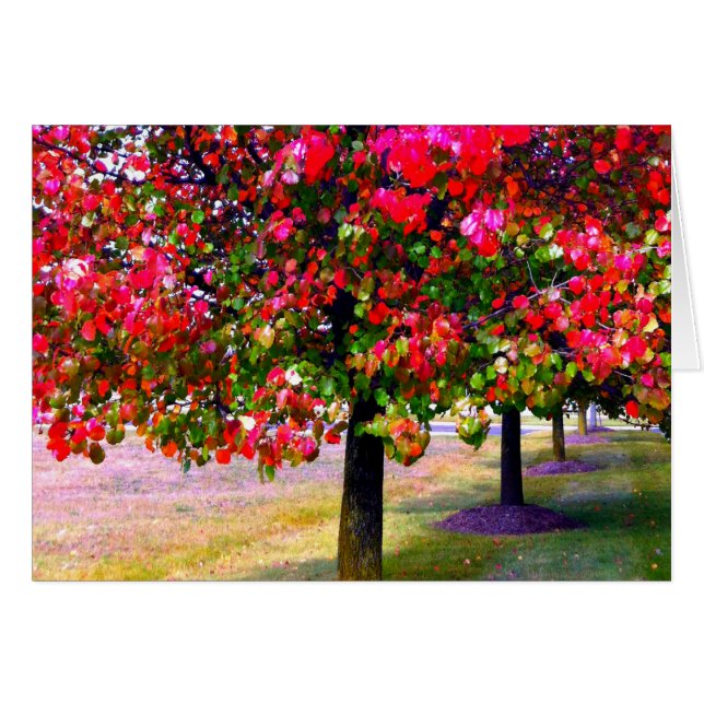 Roze impressionistische herfstbomen (Voorkant Horizontaal)