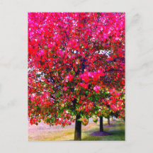 Roze impressionistische herfstbomen