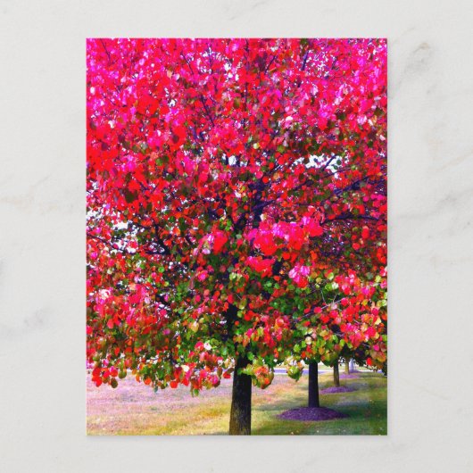Roze impressionistische herfstbomen briefkaart (Voorkant)