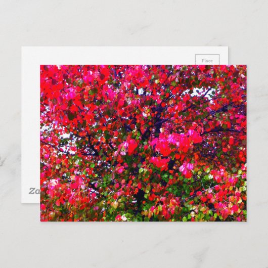 Roze impressionistische herfstbomen briefkaart (Voorkant / Achterkant)