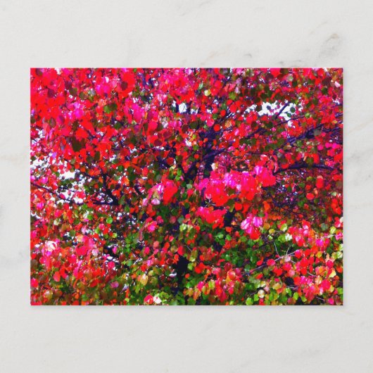 Roze impressionistische herfstbomen briefkaart (Voorkant)