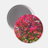 Roze impressionistische herfstbomen magneet (Voorkant / Achterkant)