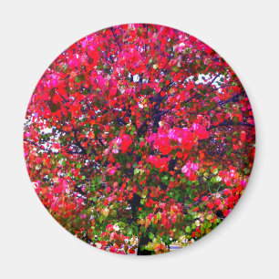 Roze impressionistische herfstbomen magneet