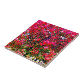 Roze impressionistische herfstbomen tegeltje (Zijkant)