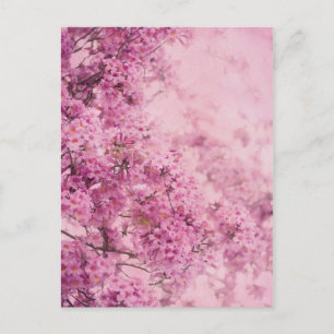 Roze in roze briefkaart