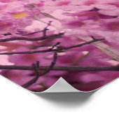 Roze in roze poster (Hoek)