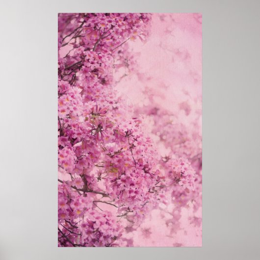 Roze in roze poster (Voorkant)