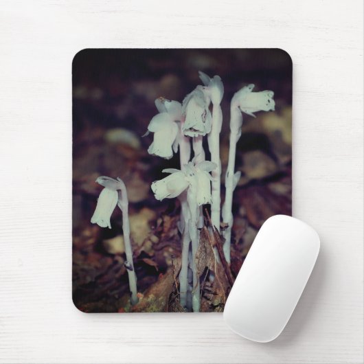 Roze Indiase Pijp Wilde Paddenstoelen Natuur Muismat (Met muis)