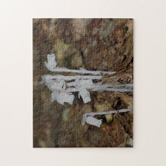 Roze Indiase pijpleiding Ghost Flower Legpuzzel (Verticaal)