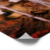 Roze Indiase pijpleiding Ghost Flower Poster (Hoek)