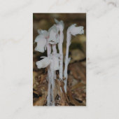 Roze Indische Pijp Wildbloemen Natuur Visitekaartj Visitekaartje (Achterkant)