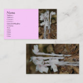 Roze Indische Pijp Wildbloemen Natuur Visitekaartj Visitekaartje (Voorkant / Achterkant)