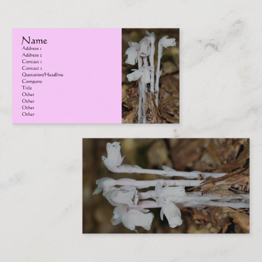 Roze Indische Pijp Wildbloemen Natuur Visitekaartj Visitekaartje (Voorkant / Achterkant)