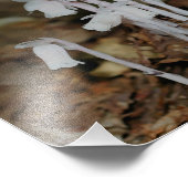 Roze Indische pijpjes champignonbloemen Foto Afdruk (Hoek)