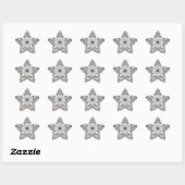  roze ingesloten Aztec geïnspireerd patroon Ster Sticker (Vel)