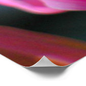 Roze insteekprinter poster (Hoek)