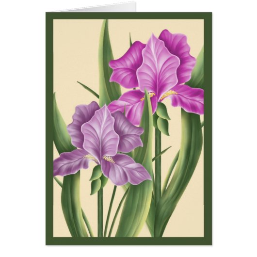 Roze Iris (Voorkant)