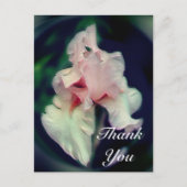 Roze Iris Abstracte Bloemige Dankkaart Briefkaart (Voorkant)
