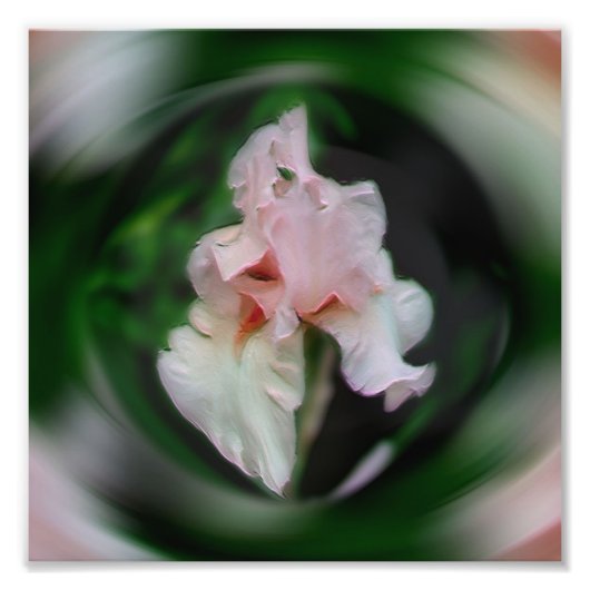 Roze Iris Bloem Abstracte Art 8x8 Foto Afdruk (Voorkant)