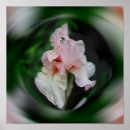 Roze iris bloem Abstracte kunst Poster (Voorkant)