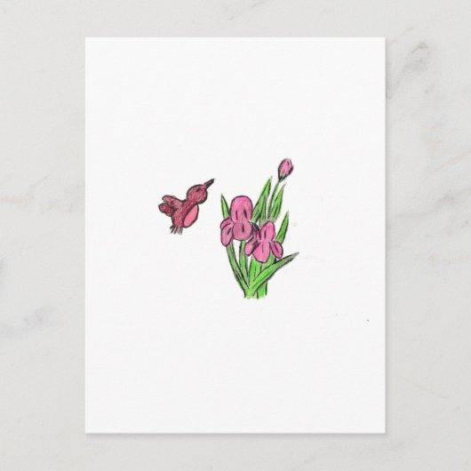 Roze Iris Briefkaart (Voorkant)