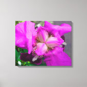 Roze Iris Canvas (Voorkant)
