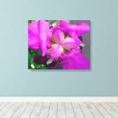 Roze Iris Canvas (Insitu (Houten vloer))
