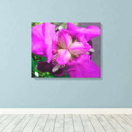 Roze Iris Canvas Afdruk (Insitu (Houten vloer))