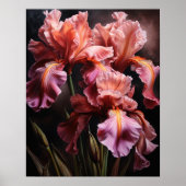 Roze Iris Flowers Art Print Poster (Voorkant)