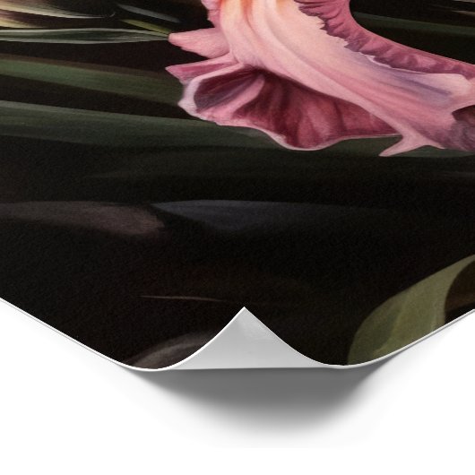 Roze Iris Flowers Art Print Poster (Hoek)