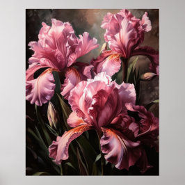 Roze Iris Flowers Art Print Poster