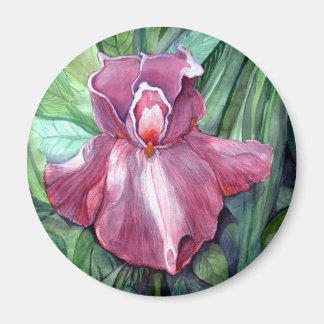Roze Iris Magneet