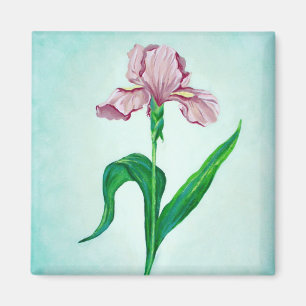 Roze Iris magnet