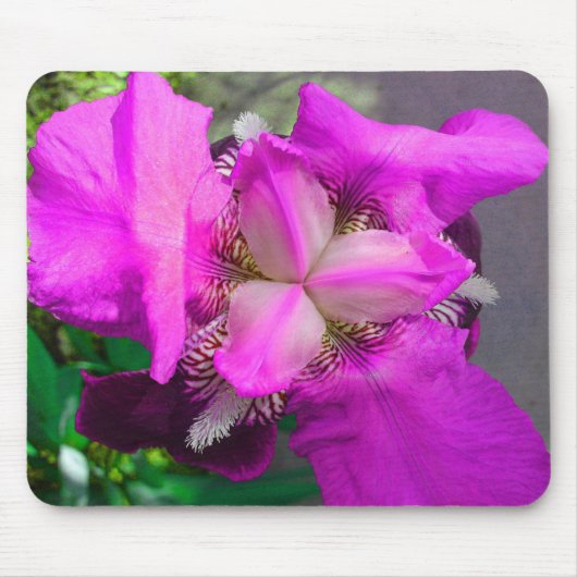Roze Iris Mousepad Muismat (Voorkant)