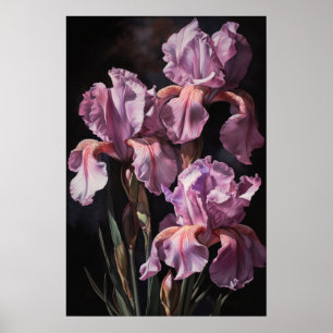 Roze Irissen Bloemenkunst Print Poster