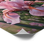 Roze Irissen Bloemenkunst Print Poster (Hoek)