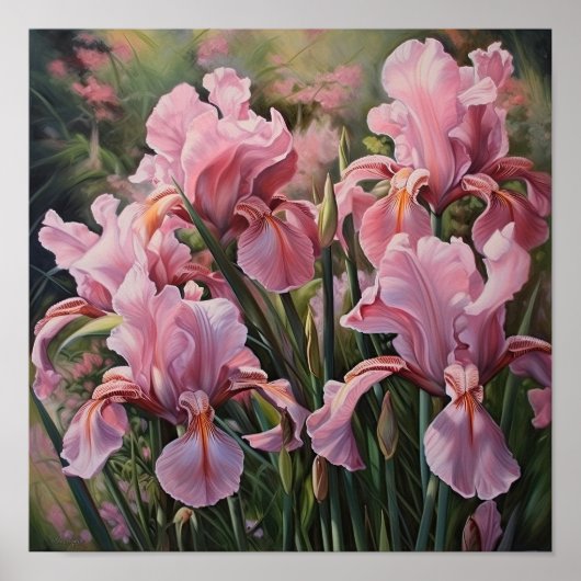 Roze Irissen Bloemenkunst Print Poster (Voorkant)