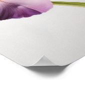Roze Irissen Bloemenkunst Print Poster (Hoek)