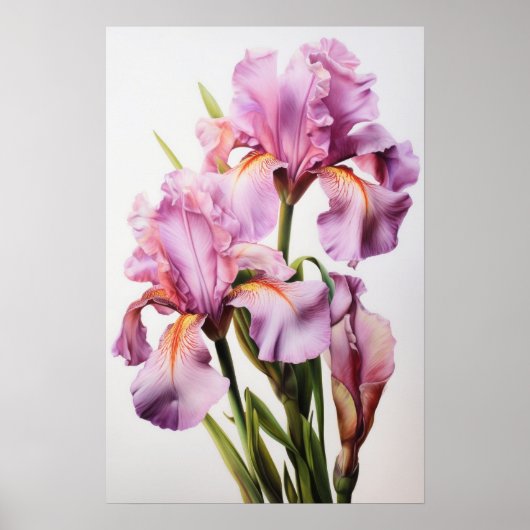 Roze Irissen Bloemenkunst Print Poster (Voorkant)