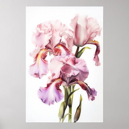 Roze Irissen Bloemenkunst Print Poster (Voorkant)