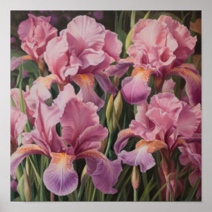 Roze Irissen Bloemenkunst Print Poster