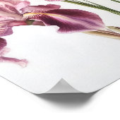 Roze Irissen Bloemenkunst Print Poster (Hoek)